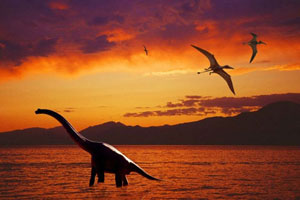 托福TPO阅读之Meteorite Impact