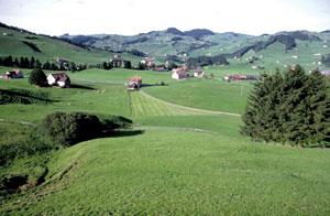 爱尔兰留学：热门专业费用低，就业前景好