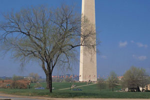 美国留学：你完全想不到的六种另类奖学金