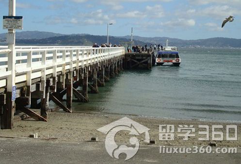 新西兰留学 出国留学应该如何准备