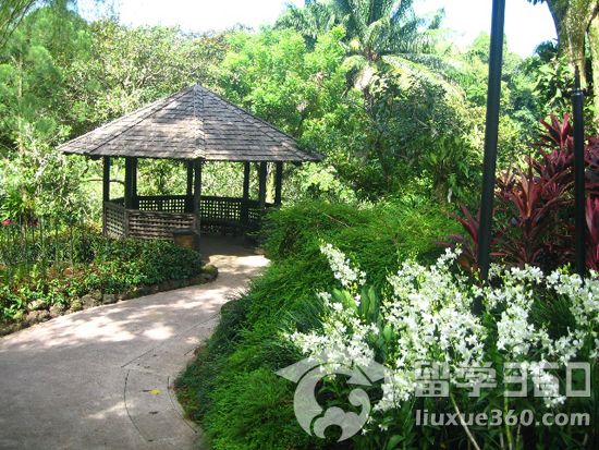 新加坡留学 国立大学院系设置及专业课程介绍