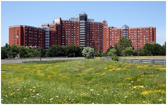 加拿大留学 辛尼加学院为留学生提供全面完善的服务