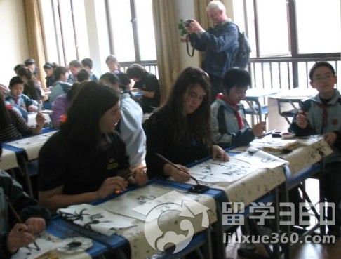 新西兰留学 本科入学标准介绍