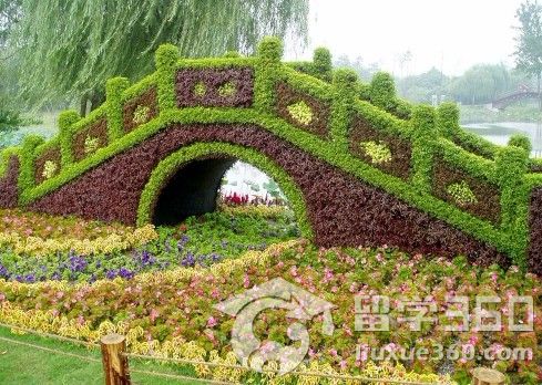 新西兰留学 了解园林设计推荐瑞金特国际教育