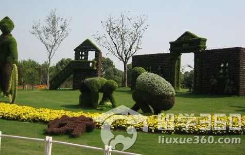 新西兰园艺专业名校:瑞金特国际教育集团