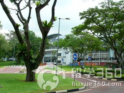 香港留学 专家分析就业概况