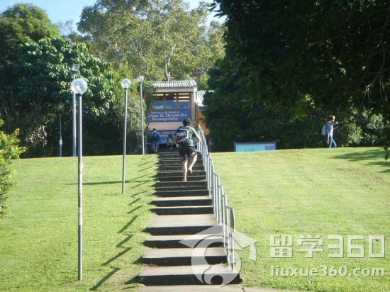 澳大利亚南十字星大学优势学科：运动科学和体育管理系