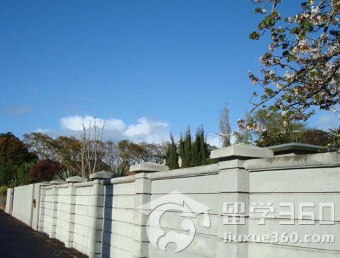 新西兰留学 预科课程的价值分析（一）