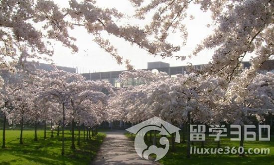 爱尔兰留学 护理英语课程介绍