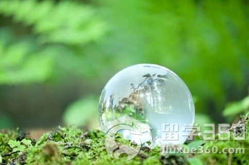 新西兰留学 解析环境工程专业