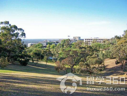 澳大利亚留学 弗林德斯大学计算机学士专业解读