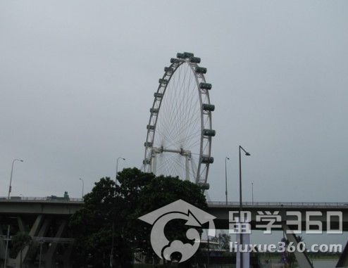 新加坡留学 选择专业要置于选院校之前