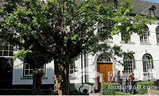 荷兰留学 中国学生已成为第二大留学生群体