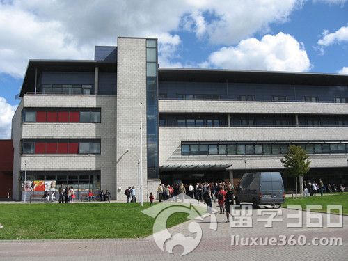 爱尔兰留学 五大好就业专业推荐