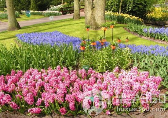 荷兰留学 热门专业之国际物流专业