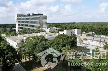 荷兰留学 NFP奖学金项目介绍