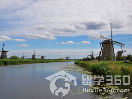 荷兰留学 法学专业推荐大学