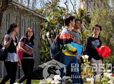 新西兰留学 预科学习内容详解