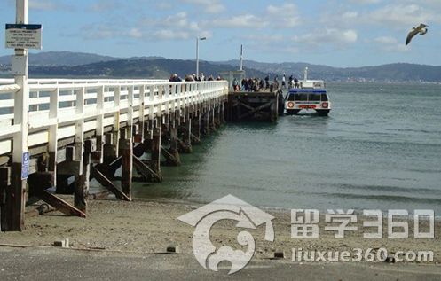 新西兰留学 如何获得永久回头签证