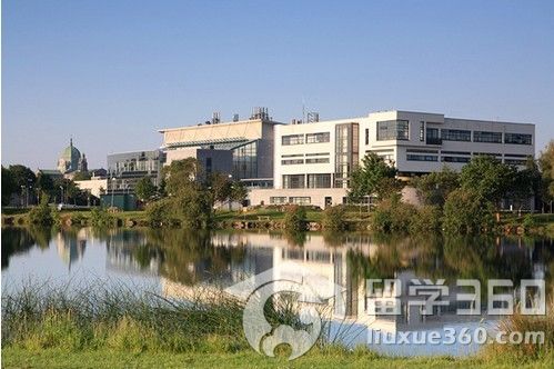 去爱尔兰留学归国后好就业