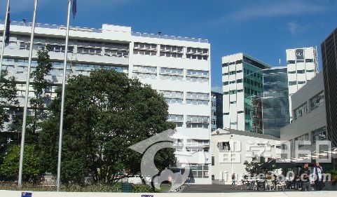 新西兰奥克兰理工大学英语研究专业解析