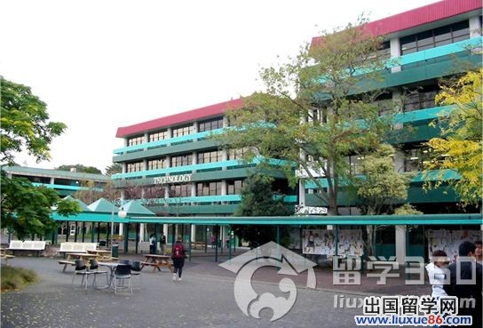 新西兰Unitec理工学院景观园林建筑专业解析
