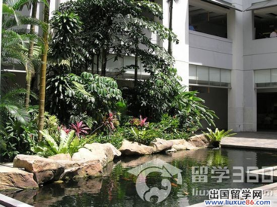 新加坡留学：管理学院特色优势解析