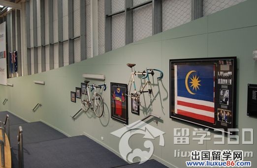 新西兰南方理工学院提供专业文凭广