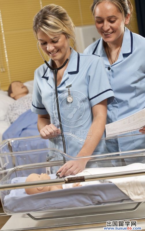 新西兰留学案例：恭喜陈同学获得梅西大学金融专业offer