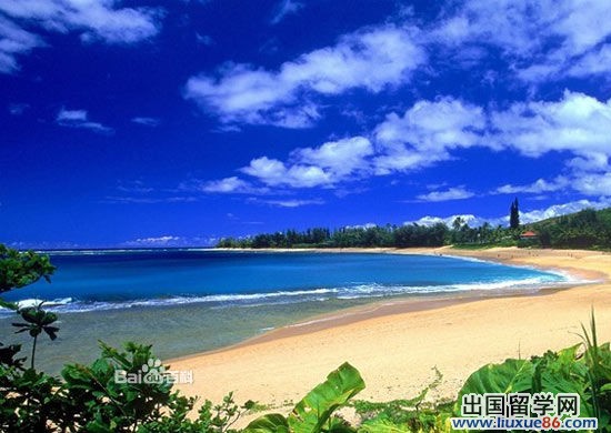 寓意为鲜花盛开的“佛罗里达州”