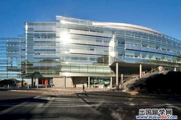 新西兰奥克兰大学校园风光