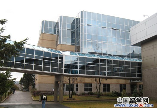 纽芬兰纪念大学院校风光