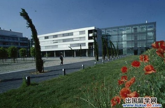 德国美因茨大学校园风光