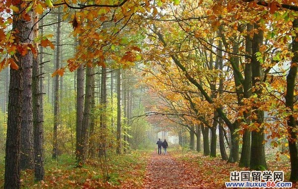 法国:西欧面积最大的国家