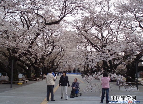 东京工业大学校园风光
