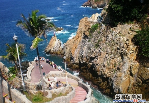 墨西哥：“仙人掌王国”之美誉