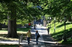 普林斯顿大学风光