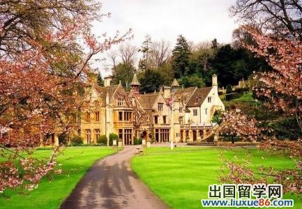 中国学生赴华威大学申请成绩要求