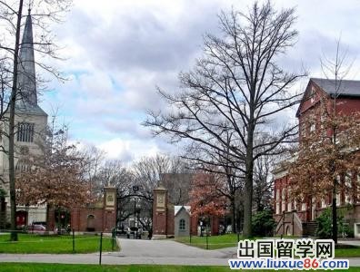 美国本科留学专业定位及选择误区