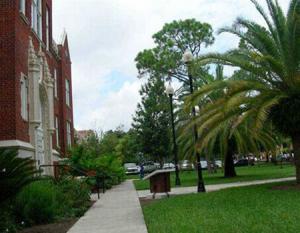 佛罗里达大学院校风景