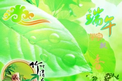 端午节作文大全