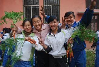 劳技教师年度工作总结