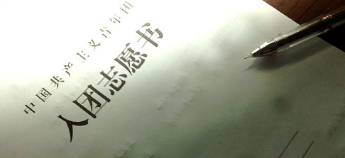 初二入团志愿书600字