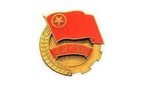 2015高三入团志愿书模板