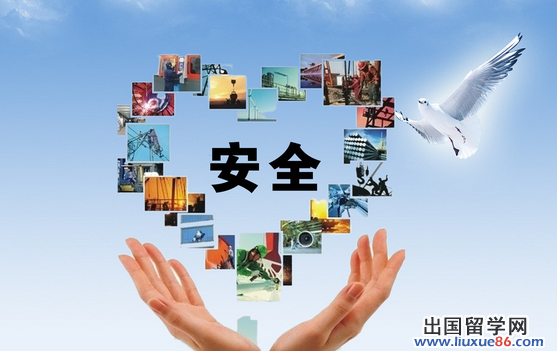 安全学习心得体会