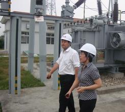 最新供电所副所长述职报告