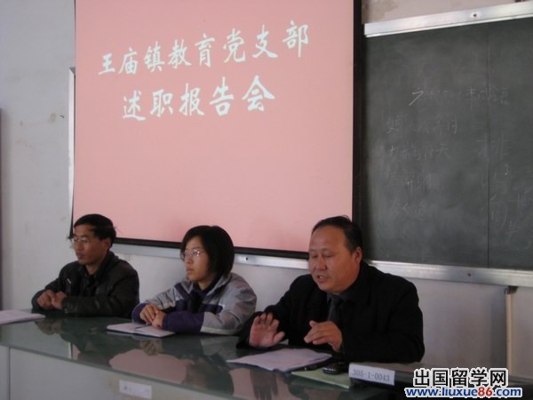 学校党支部述职报告模板