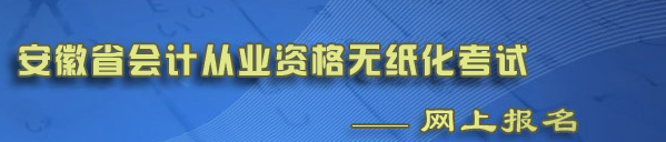 2014年安庆第六批会计从业考试报名网址