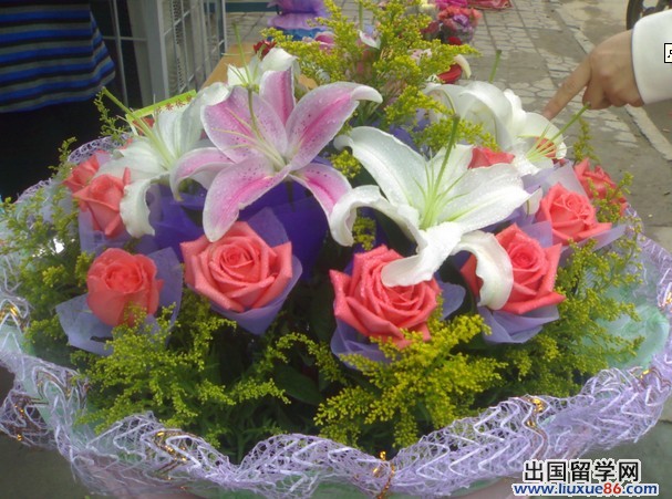 教师节送啥礼物