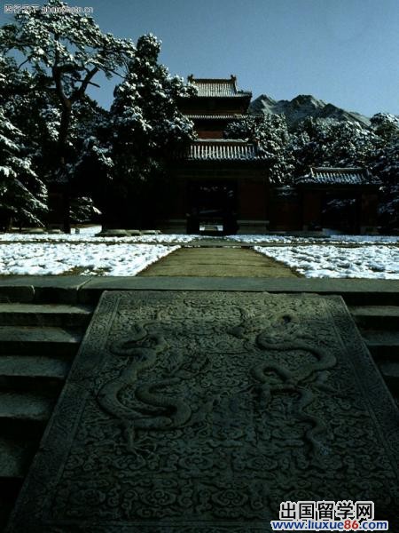 描写雪的诗句
